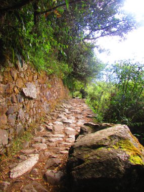 Machu Picchu Harabeleri, Cusco, Peru. Seyahat fotoğrafçılık