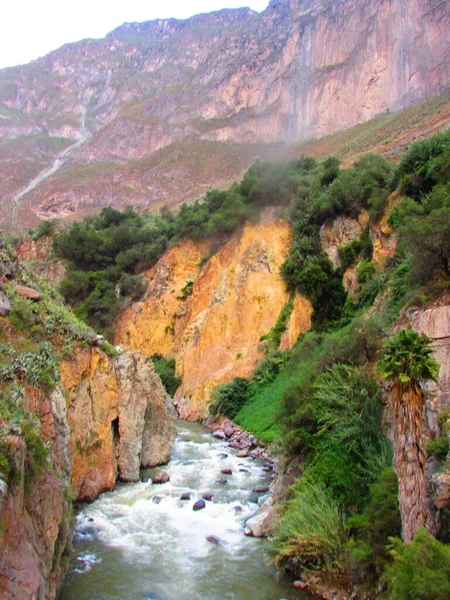 Canon Del Colca Arequipa Perú Fotografía Naturaleza — Foto de Stock