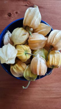 Altın Çilek ya da Aguaymanto. Meyveler