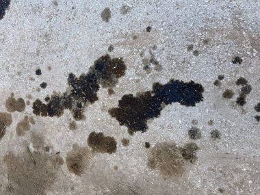 Çamurlu bir beton ya da asfalt yüzeyine yakın çekim. Çok sayıda koyu, yağlı leke ve enkaz var. Çiğ, soyut bir grunge dokusu arka plan ya da endüstriyel tasarımlar için mükemmel.