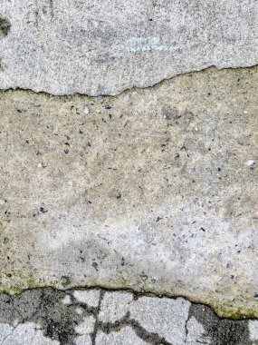 Beton duvarda oturan bir oyuncak ayı.