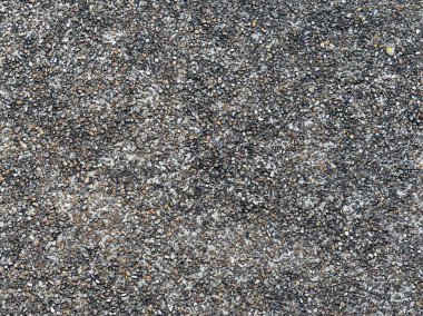 Siyah beyaz bir fotoğrafın fotoğrafı.