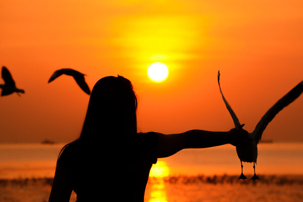 Silhouette of a girl feeding birds at the seacoast in twilight 