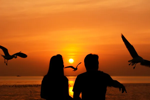 Silhouette von Männchen und Weibchen (Paar) beim Füttern von Vögeln an der Meeresküste — Stockfoto