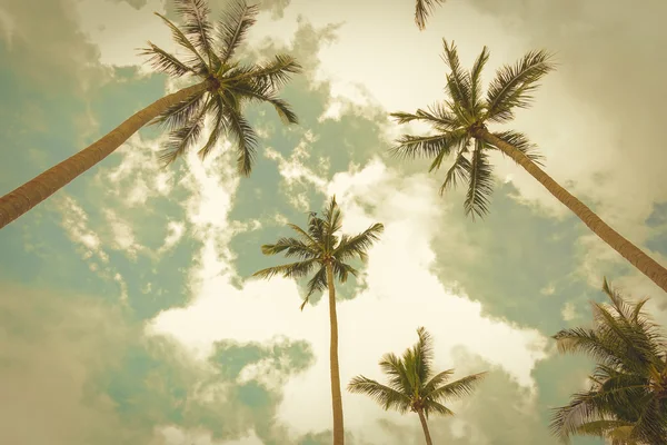Árboles de coco en el fondo del cielo de verano, tono vintage —  Fotos de Stock