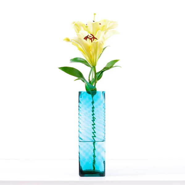 Soft yellow lily flowers in square vase — Stock Photo, Image