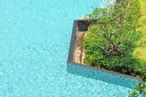 Formă gratuită piscină în apropiere de plante verzi — Fotografie, imagine de stoc
