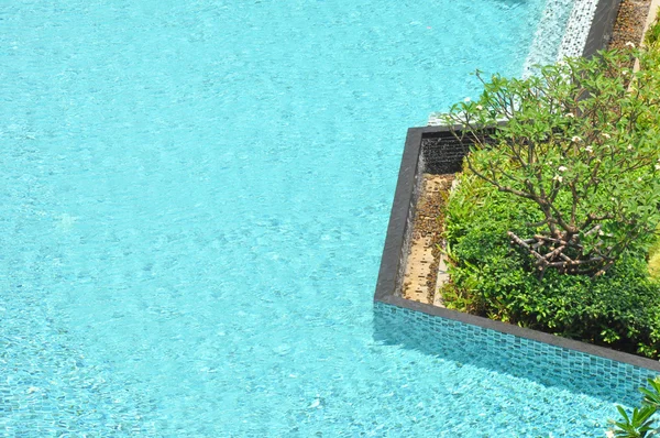 Formă gratuită piscină în apropiere de plante verzi — Fotografie, imagine de stoc