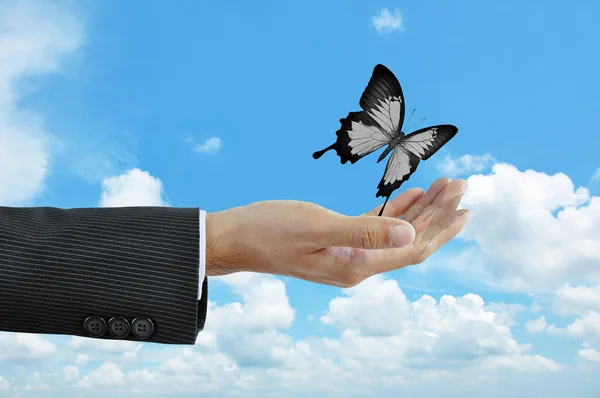 Mano liberando una mariposa sobre el fondo azul del cielo - concepto de libertad —  Fotos de Stock