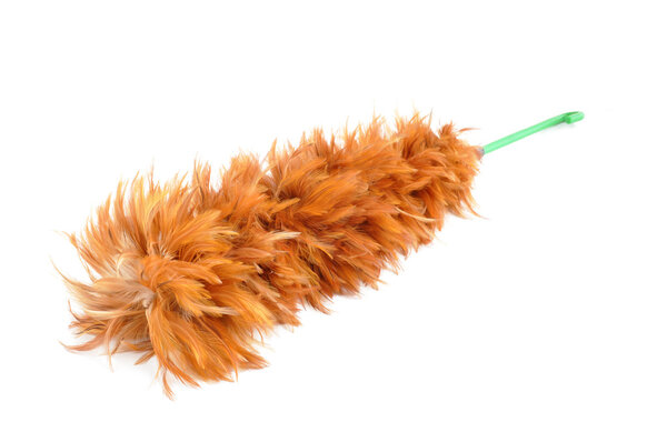 Feather duster