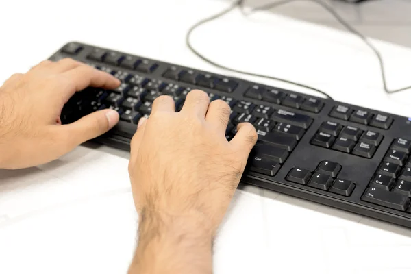 Hands typing computer keyboard — Stock Photo, Image