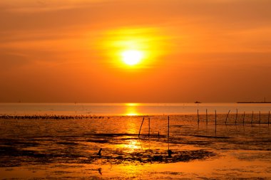 Beautiful sunset at the wetland seacoast