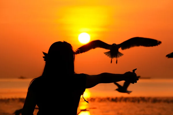 Silueta de una niña alimentando a las aves en la costa en el crepúsculo fondo del atardecer — Foto de Stock