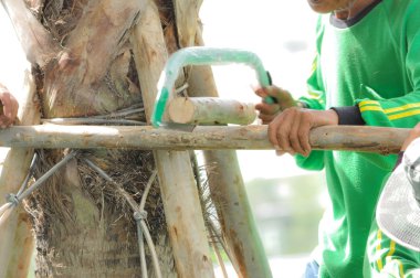 Alt ağaç desteklemek için ağaç kazık yapma tahta sopa testere ile kesme
