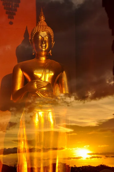 Golden Buddha statue in the glass room with twilight sky reflection — Stock Photo, Image