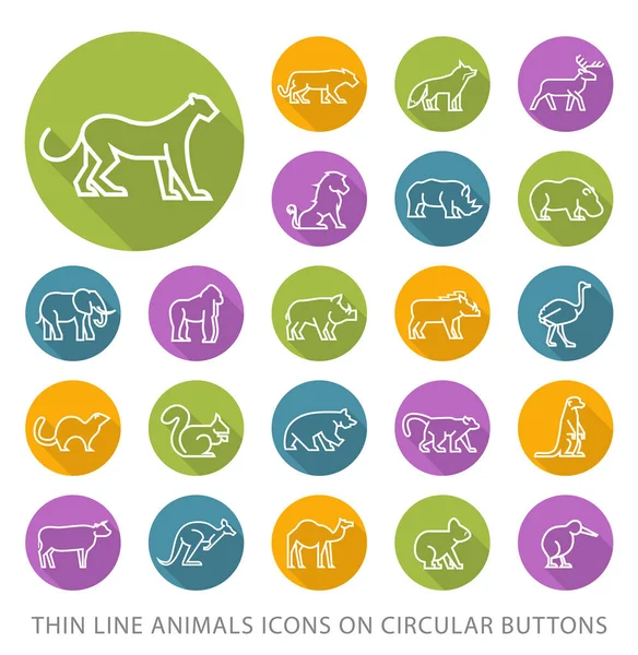 Beyaz Arkaplanda Renkli Düğmeler Üzerinde Evrensel Minimalist Nce Çizgi Hayvanları — Stok Vektör