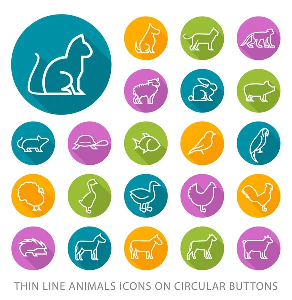 Elegant Universal White Minimalistic Thin Line Animals Icons Circular Colored — 스톡 벡터