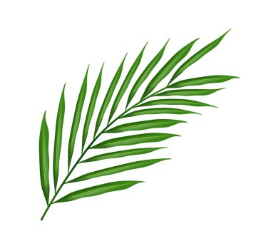 Tasarımınız için 3D Yüksek Kaliteli Tropikal Yaprak Beyaz Arkaplanda. İzole Vektör Elementleri