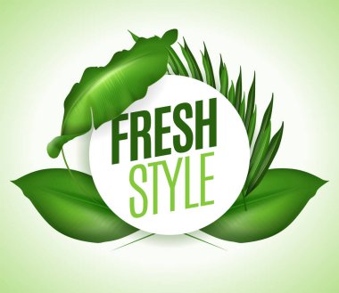 3D Yüksek Kaliteli Tropikal Tasarımınız İçin Arkaplan Bırakıyor. İzole Vektör Elementleri