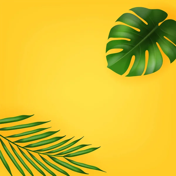 Feuilles Tropicales Haute Qualité Arrière Plan Pour Votre Conception Éléments — Image vectorielle