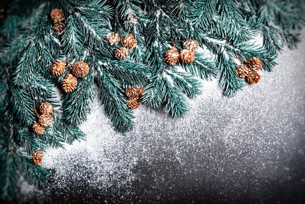 Fondo Navidad Una Trampa Ramas Abeto Conos Nieve Sobre Fondo — Foto de Stock