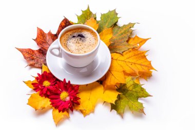 Sonbahar yapraklarının arka planında kasımpatı olan bir fincan kahve. Beyaz arkaplanda izole et