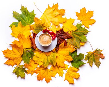 Sonbahar yapraklarının arka planında kasımpatı olan bir fincan kahve. Beyaz arkaplanda izole et. Yukarıdan görüntüle