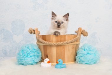 Ahşap sauna sepeti de bez bebek kedi