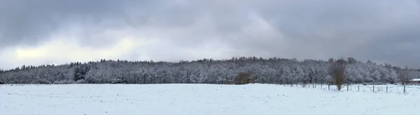 Vista Panorâmica Planície Auvergne Floresta Sob Neve — Fotografia de Stock