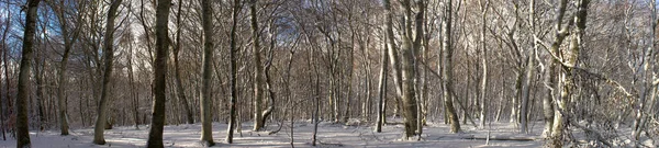 Vista Panorámica Del Bosque Nevado Auvernia Puy Dome — Foto de Stock