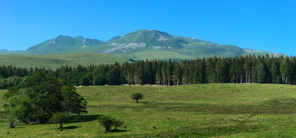 Kilátás Chaine Des Puys Sancy Nyáron Auvergne Franciaország — Stock Fotó