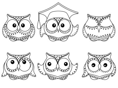 Altı eğlenceli baykuş özetliyor