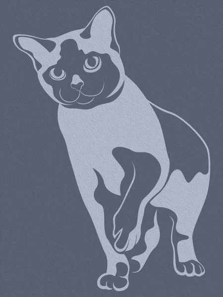 Abstract Funny Cat Made Effect Oil Paint Grey Hues — Stockfoto