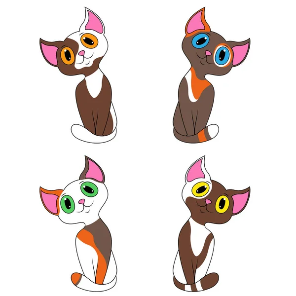 四只不同的卡通猫在白色背景下被隔离 宠物的彩色图像 — 图库矢量图片