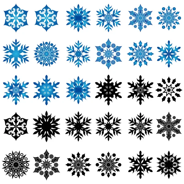 Set of thirty blue and black snowflakes — Stock Vector