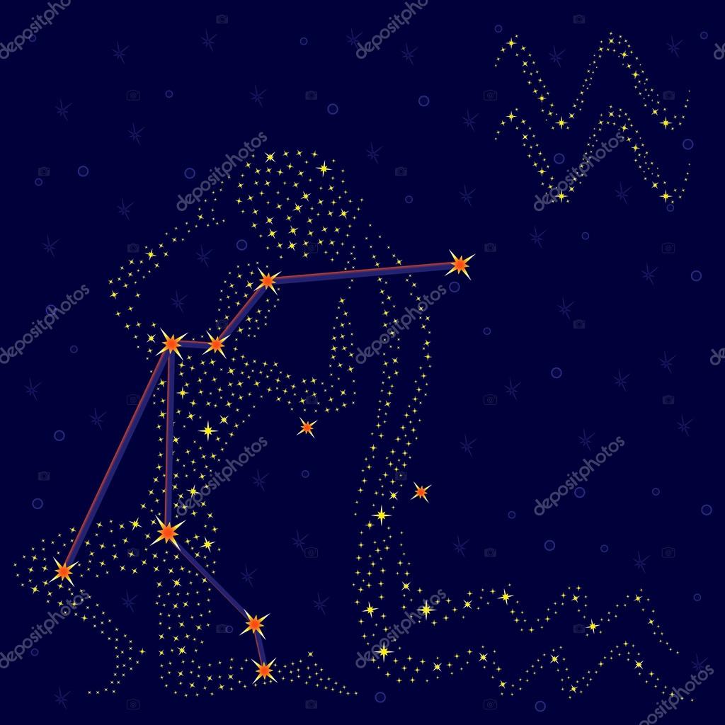 黄道十二星座 水瓶座