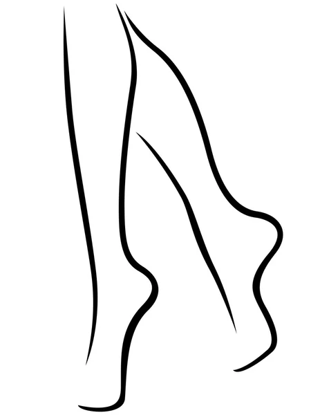 Изящные женские ноги — стоковый вектор