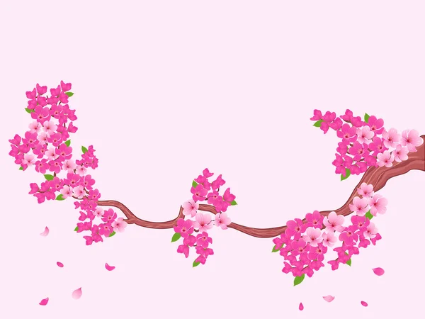 Blooming Sakura branch over light pink — Stock Vector