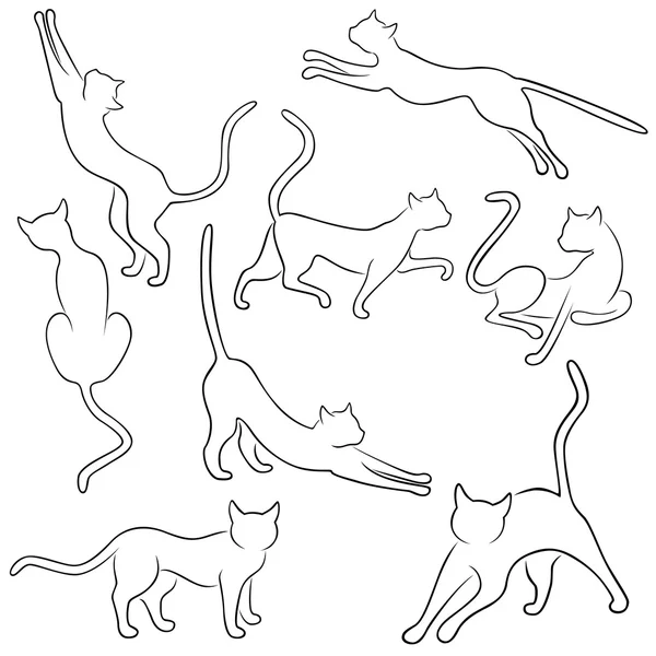 滑稽的猫的八个轮廓 — 图库矢量图片