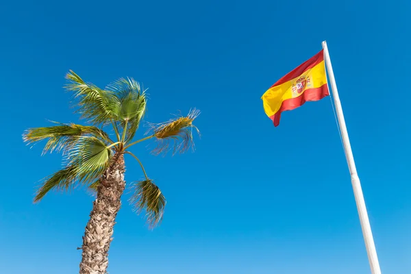 Bandiera spagnola e palma nel cielo blu — Foto Stock