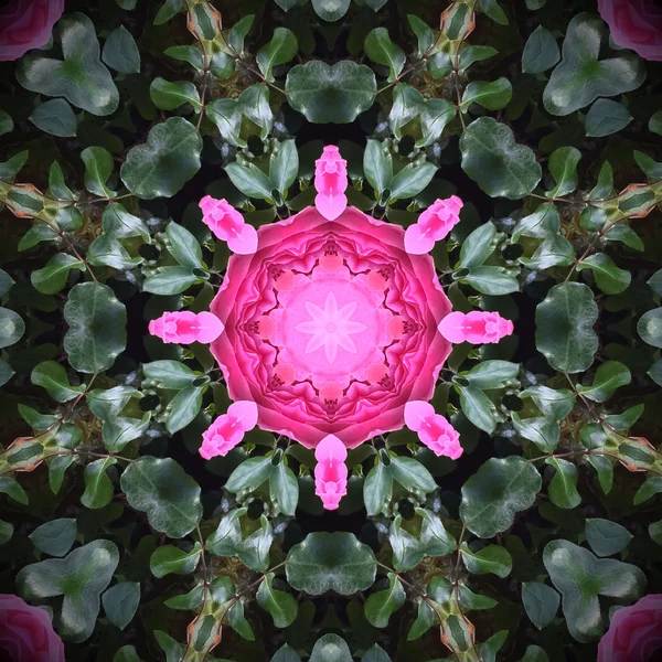Floral kaleidoscope background — Stock Photo, Image
