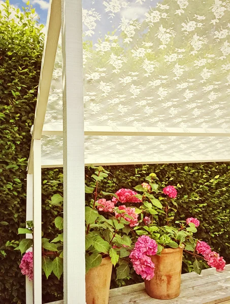 Veranda de verano con florecientes gardenias — Foto de Stock