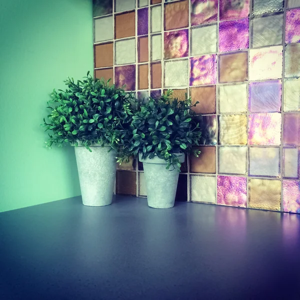 Plantas verdes decorando una cocina — Foto de Stock