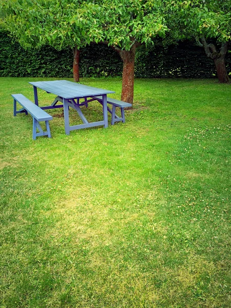 Mesa de madera en jardín de verano con césped verde —  Fotos de Stock