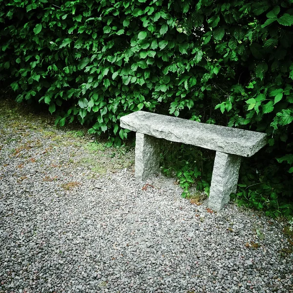 Stone bench in summer garden — Stock Photo, Image