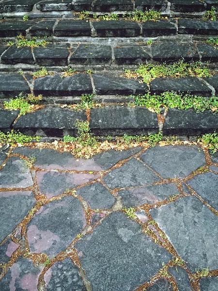 Oude mossy stenen trappen — Stockfoto