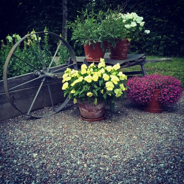 Çiçekler ve eski tekerleği ile dekore edilmiş Bahçe