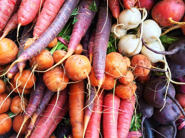 Verduras de raiz coloridas — Fotografia de Stock