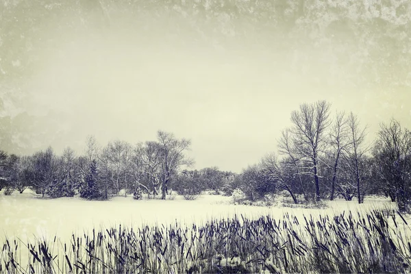 Зимнее озеро и деревья, фото в винтажном стиле — стоковое фото