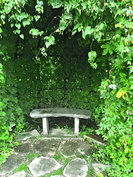 Stone bench in green summer garden — Stock Photo, Image